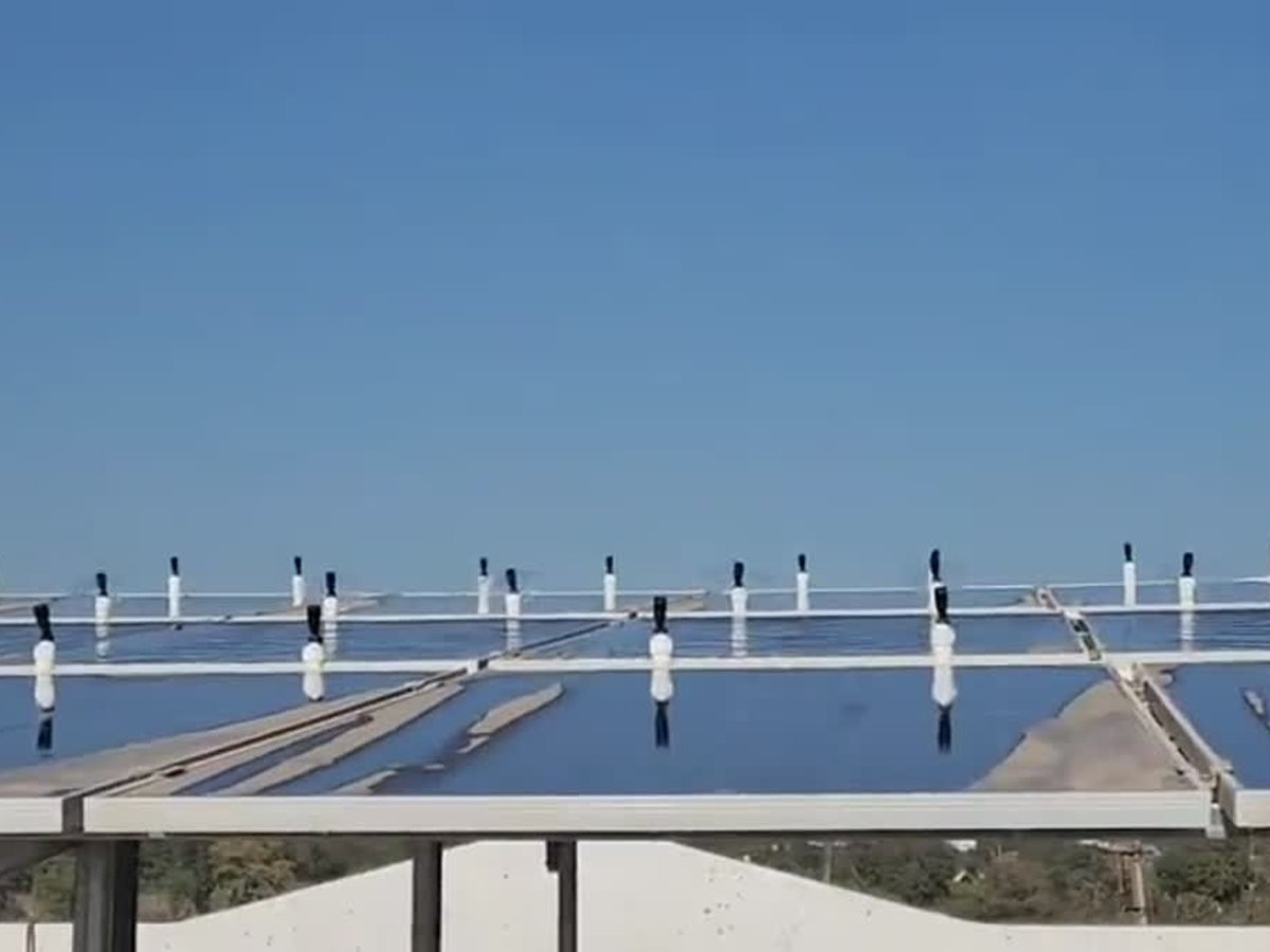 Commissioned plant