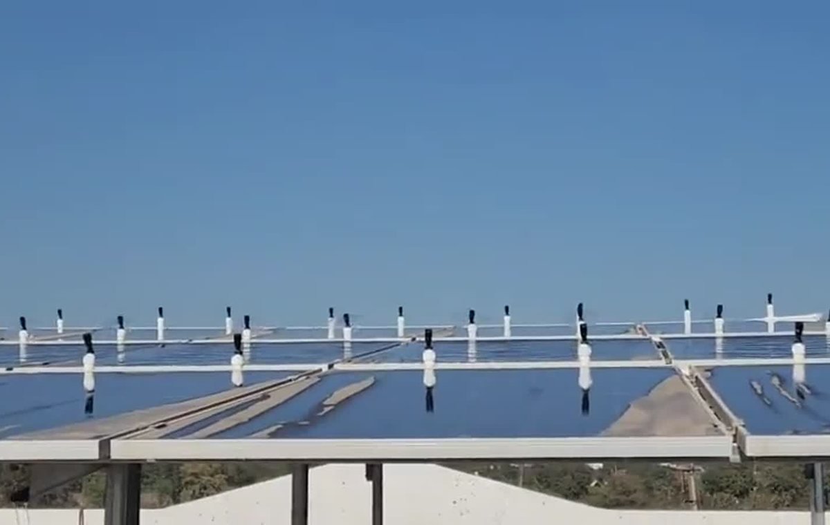 Solar Panel Cleaning